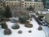/mirai/activity/assets_c/2010/02/CIMG3148-thumb-200x150-457.jpg