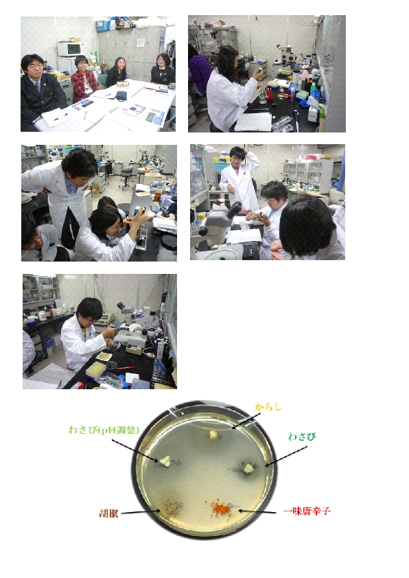 /mirai/activity/upload_items/200912/%E6%9D%B1%E8%B0%B7%E5%8D%B51229.jpg