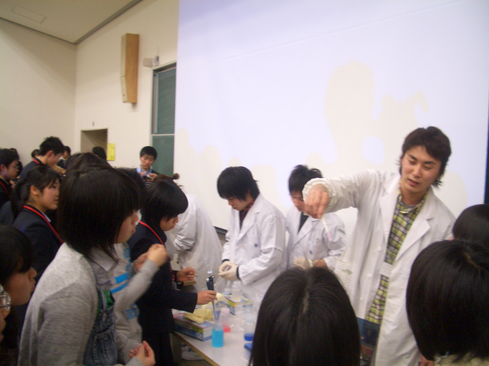 /mirai/activity/upload_items/201001/CIMG2950.JPG