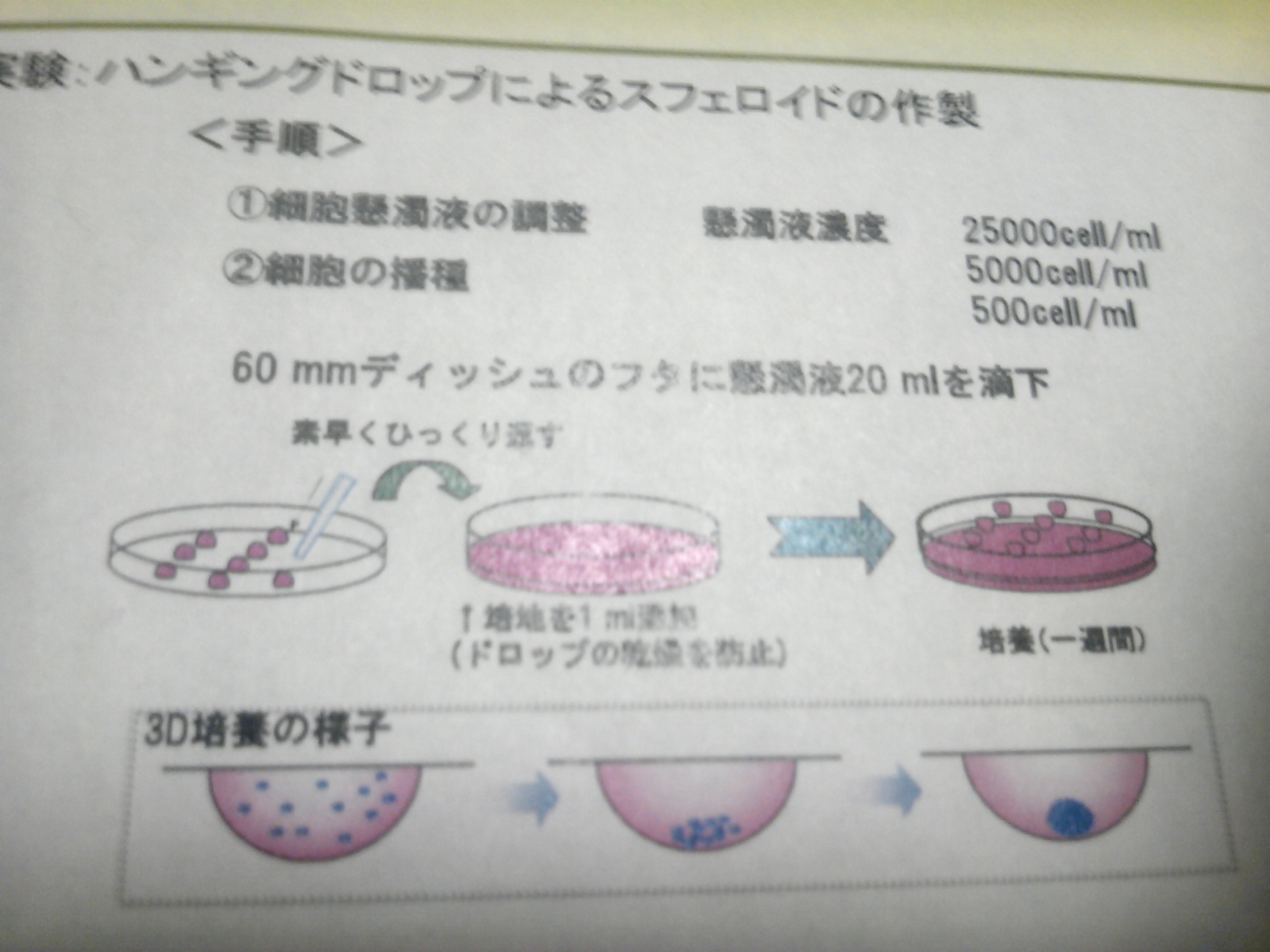 /mirai/activity_h23/upload_items/201108/SH3F0001.JPG