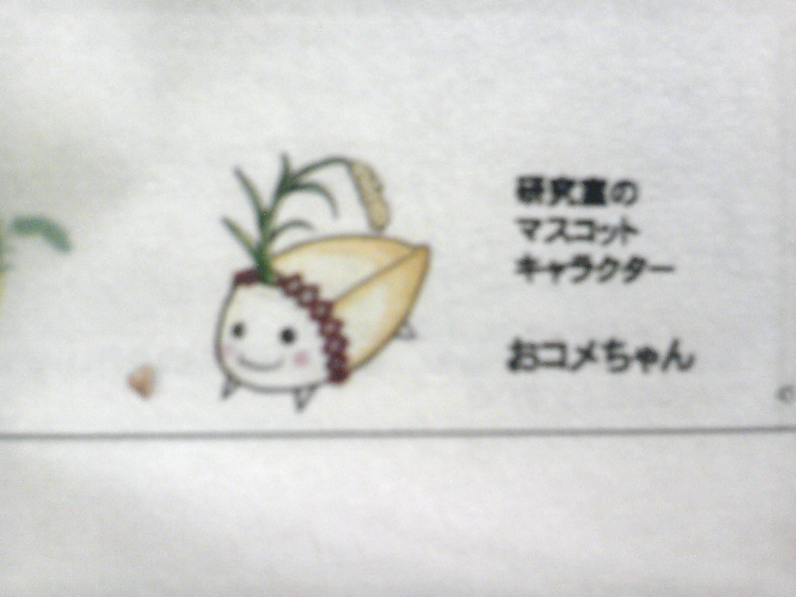 /mirai/activity_h23/upload_items/201109/003.JPG