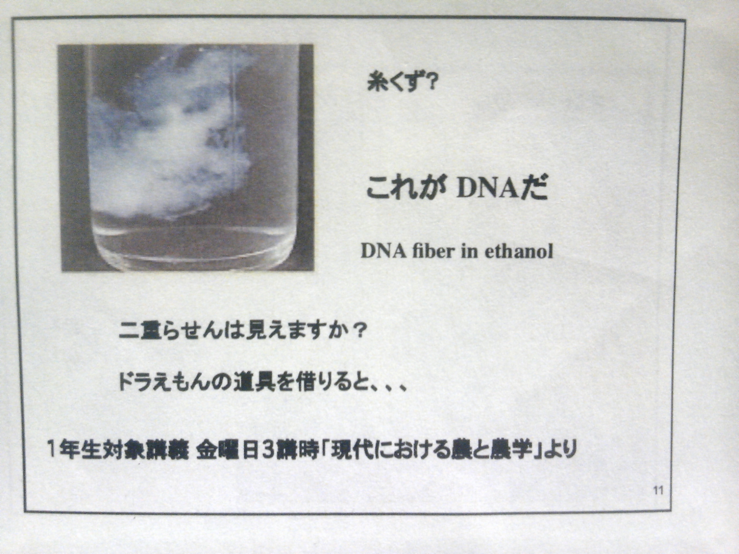 /mirai/activity_h23/upload_items/201109/005.JPG