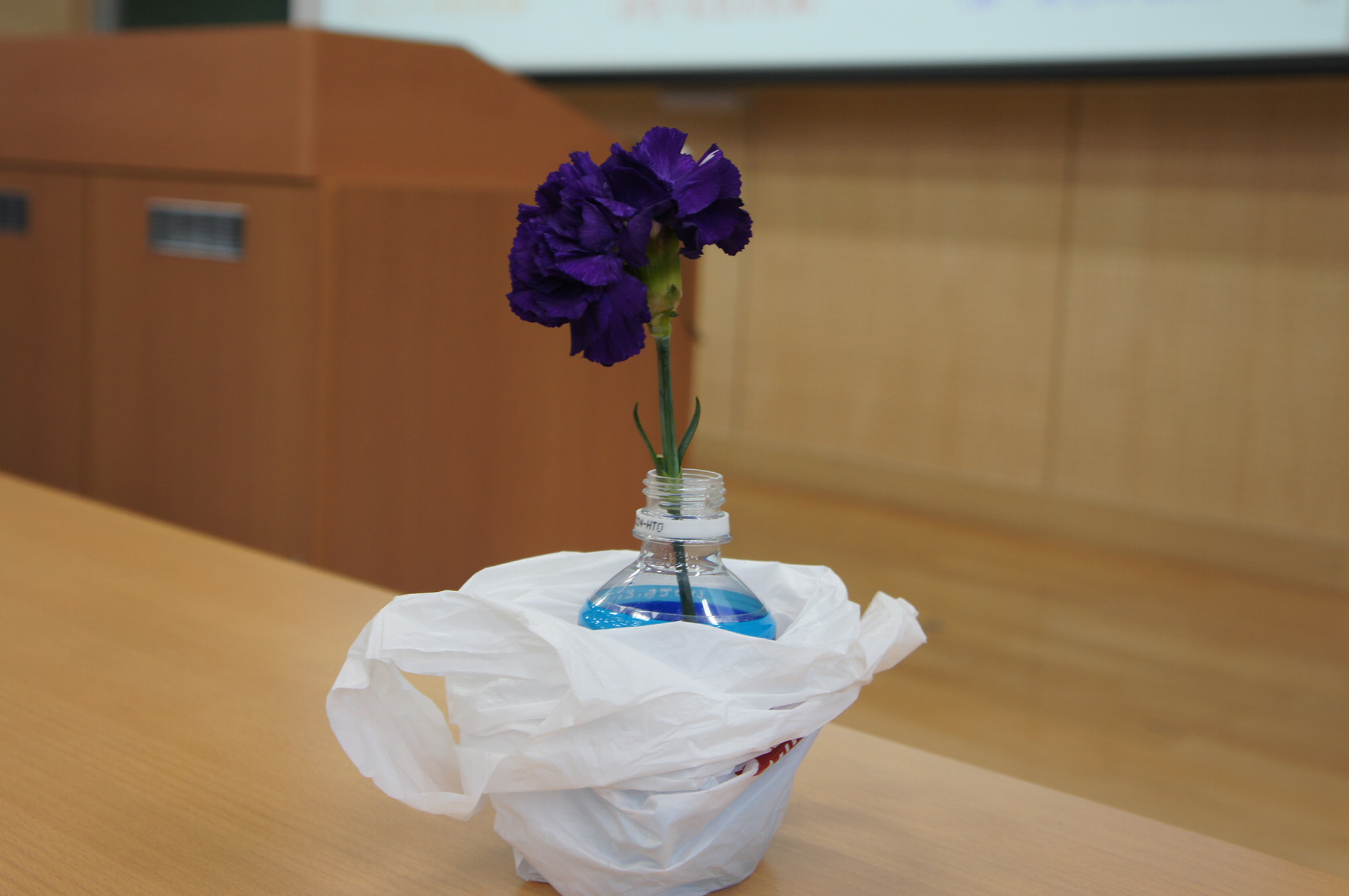 /mirai/activity_h23/upload_items/201109/DSC07433.JPG