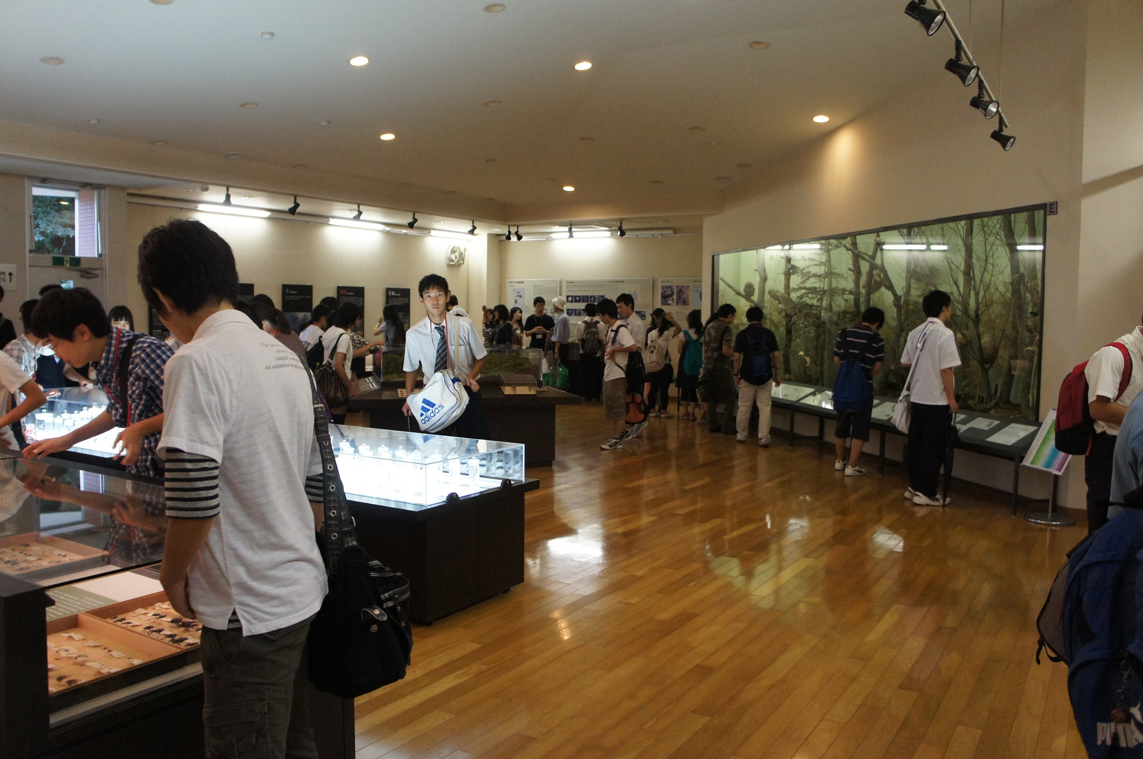 /mirai/activity_h23/upload_items/201109/DSC07446.JPG