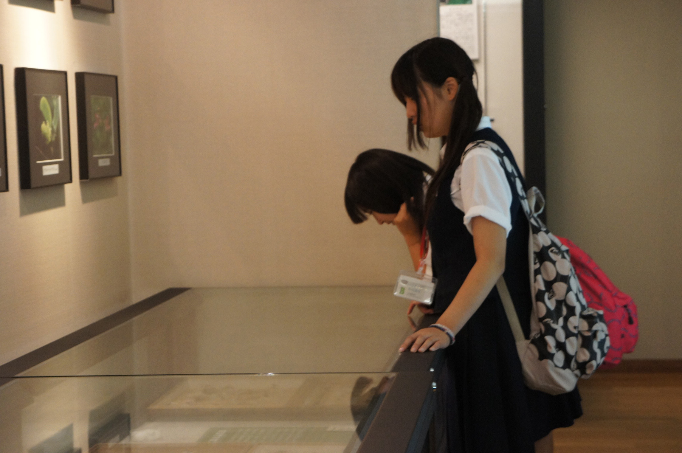 /mirai/activity_h23/upload_items/201109/DSC07451.JPG