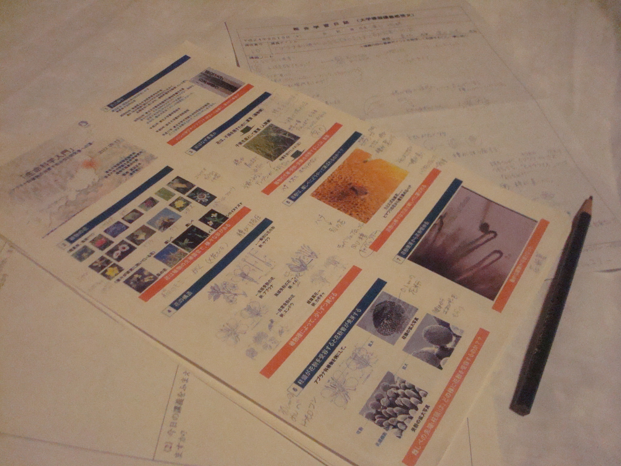 /mirai/activity_h24/upload_items/201209/report.jpg