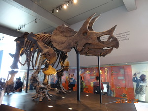 恐竜.JPGのサムネイル画像