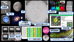 Fig2_takazawa.png