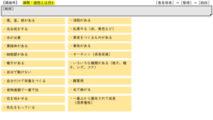 blog021_taka.png