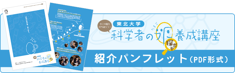 パンフレット