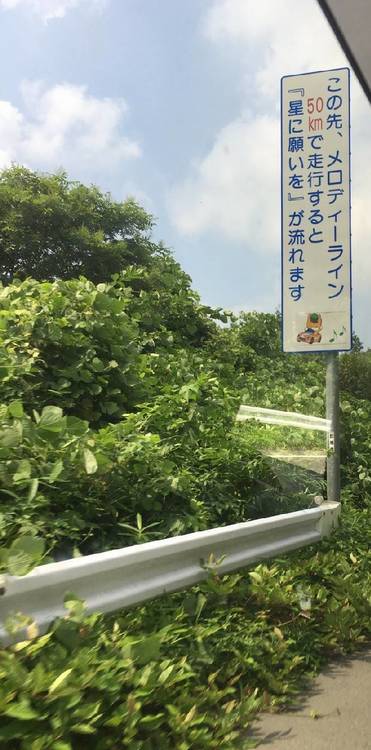メロディーライン