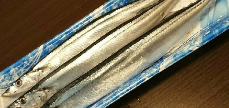 サンマ