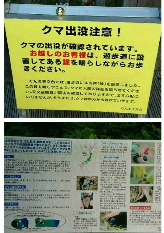 熊出没注意!