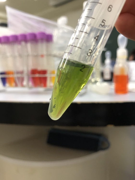 緑のBTB溶液