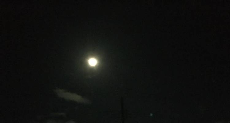 流れ星?