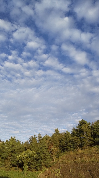 ひつじ雲