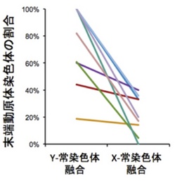 Graph.jpg