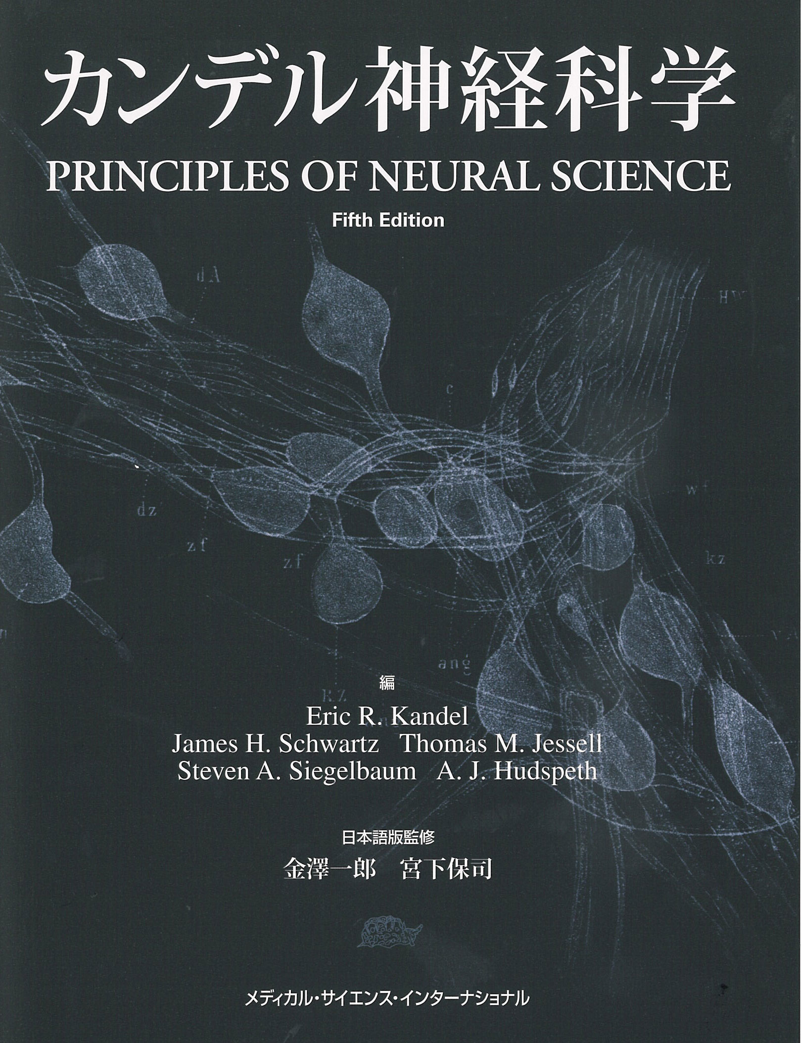 http://www.ige.tohoku.ac.jp/prg/genetics/study_report/upload_items/201405/%E3%82%AB%E3%83%B3%E3%83%87%E3%83%AB%E8%A1%A8%E7%B4%99Web%E7%94%A8.jpg