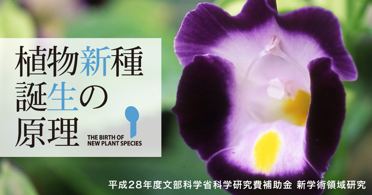 希少】発芽生物学 種子発芽の生理・生態・分子機構 種生物学会