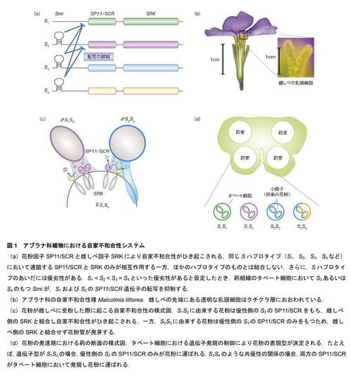 180830_ライフサイエンス領域融合レビュー.jpg