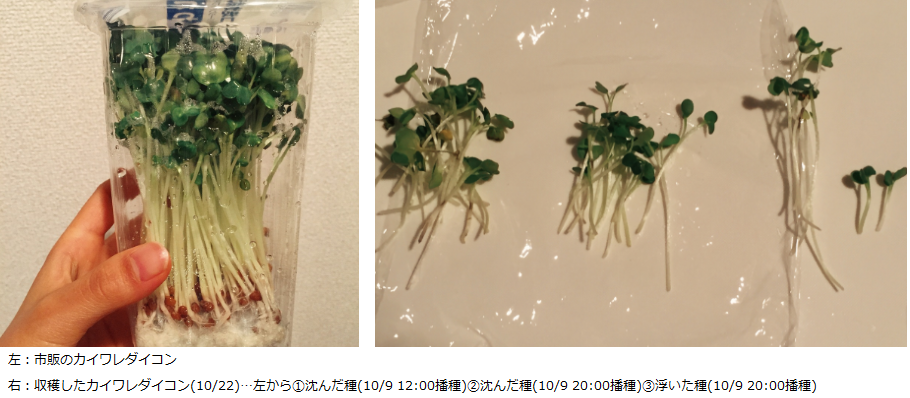 http://www.ige.tohoku.ac.jp/prg/watanabe/as-vegetable/images/20151119104447-974dada7d25a536e41dd18d9df15415317b6cb6b.png