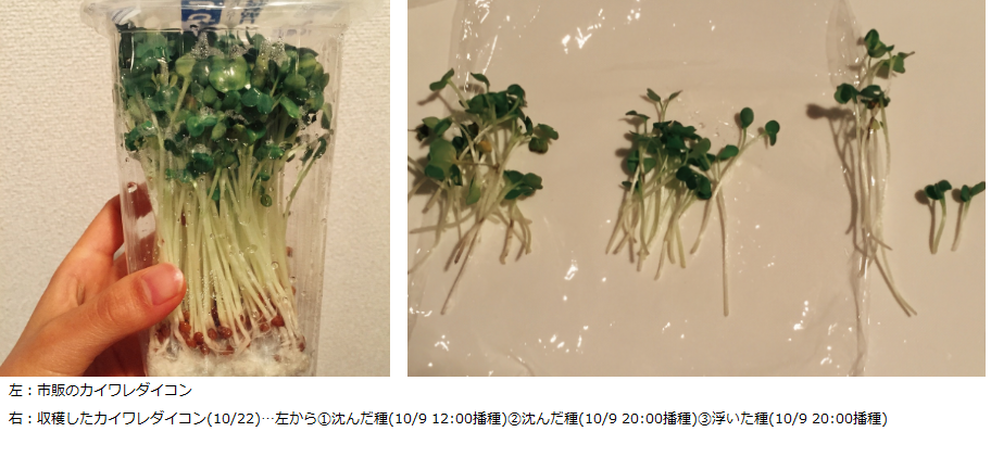 http://www.ige.tohoku.ac.jp/prg/watanabe/as-vegetable/images/20151119104530-1204478455d25fbd99a1397b0c0a04ce93545b59.png