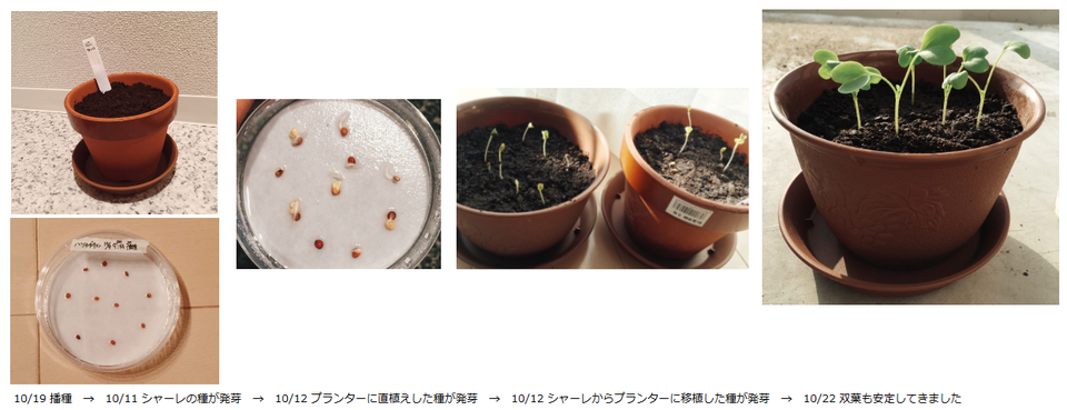 http://www.ige.tohoku.ac.jp/prg/watanabe/as-vegetable/images/20151119105751-8489853715bb05364d53af3ec5344ea2c22a1129.png