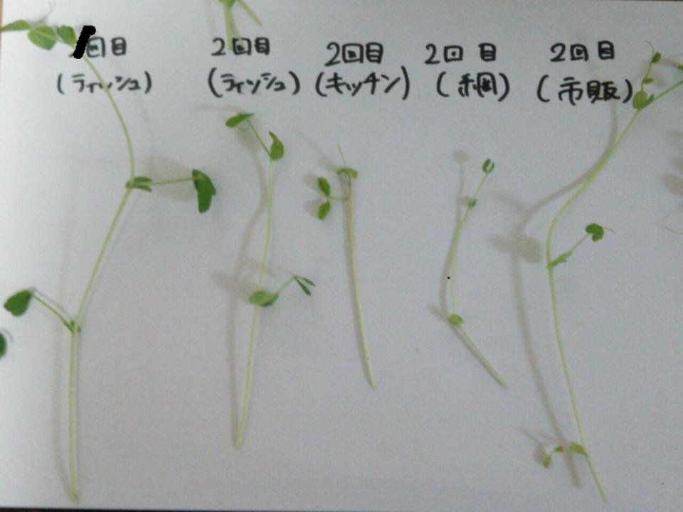 http://www.ige.tohoku.ac.jp/prg/watanabe/as-vegetable/images/20160111232908-13e8506d354da57ae3d095f3347b01de0e10976b.jpg