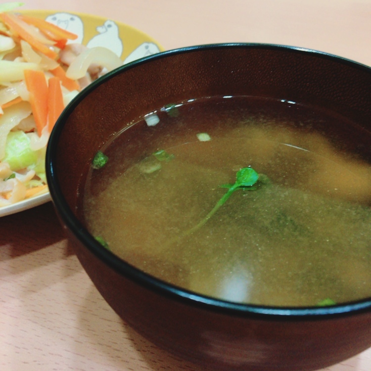 http://www.ige.tohoku.ac.jp/prg/watanabe/as-vegetable2016/images/20161012093235-839358c8d629aea4ca949e5052939e2a1474fe34.JPG