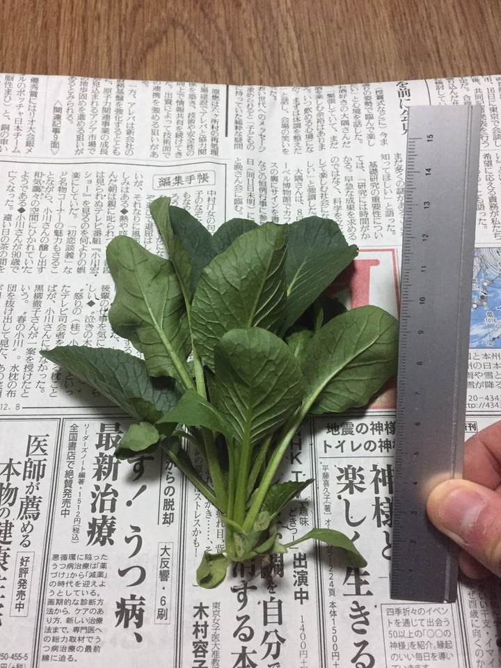 http://www.ige.tohoku.ac.jp/prg/watanabe/as-vegetable2016/images/20161214233813-ac52ef027246efa512471de9f5d5816a11722c1d.JPG