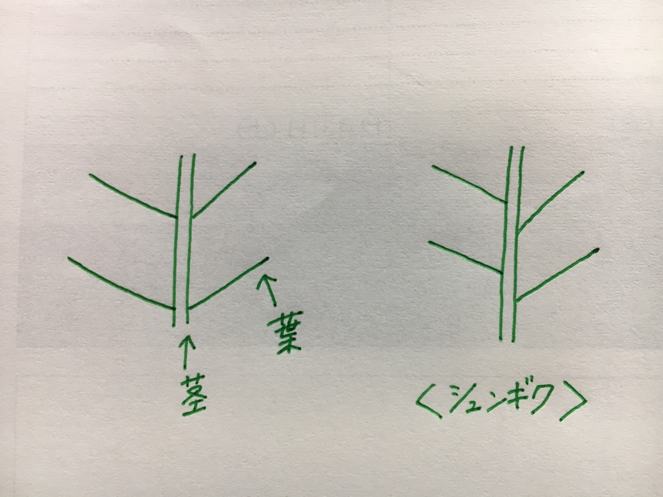 http://www.ige.tohoku.ac.jp/prg/watanabe/as-vegetable2016/images/20161227144311-776c27235b1ecc76c46a14474821c32f4dbec376.JPG