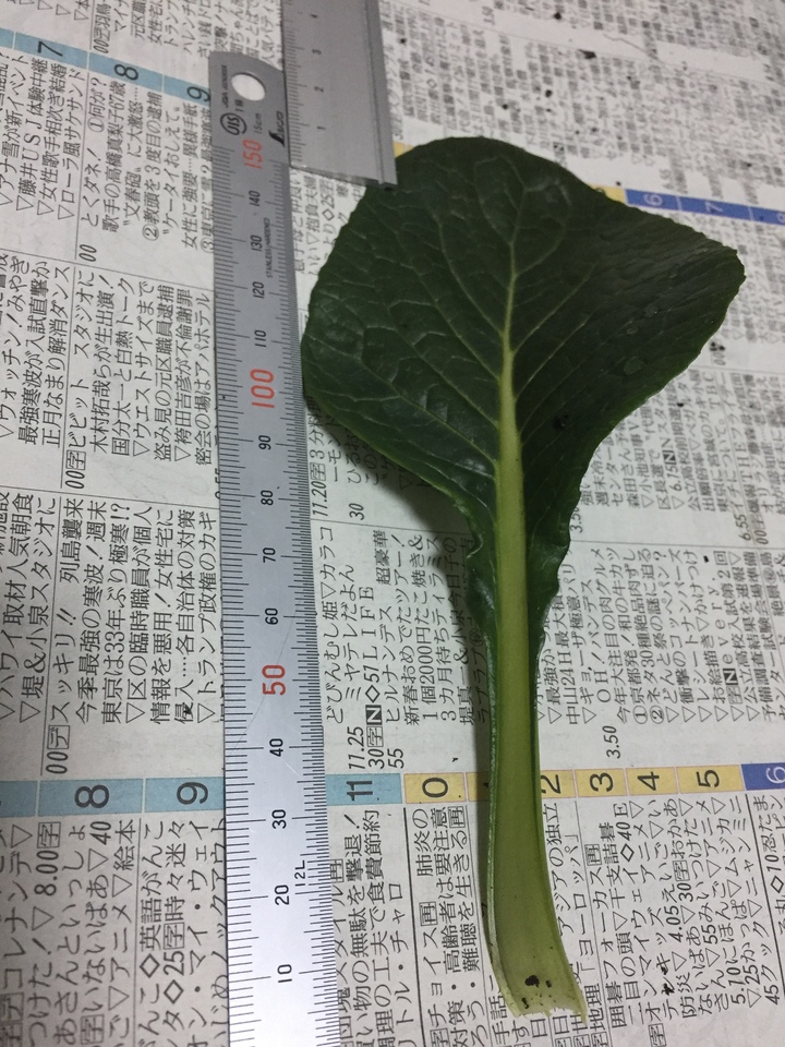 http://www.ige.tohoku.ac.jp/prg/watanabe/as-vegetable2016/images/20170113182302-1a20c743d7c2a03a1db6206c56de3821a5425ee7.JPG