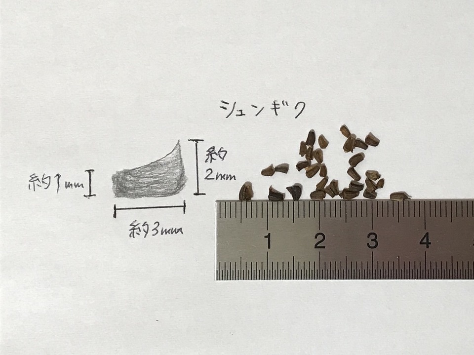 http://www.ige.tohoku.ac.jp/prg/watanabe/as-vegetable2017/images/20171008011106-6d35682a1af1e9af18ed3ebb7ecfeb1bb2f9c1f1.jpg