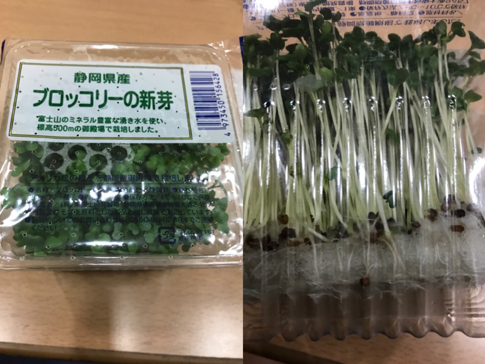 http://www.ige.tohoku.ac.jp/prg/watanabe/as-vegetable2017/images/20171029214750-7ac1efef88b66812a559805c54662bf64eaa570e.JPG