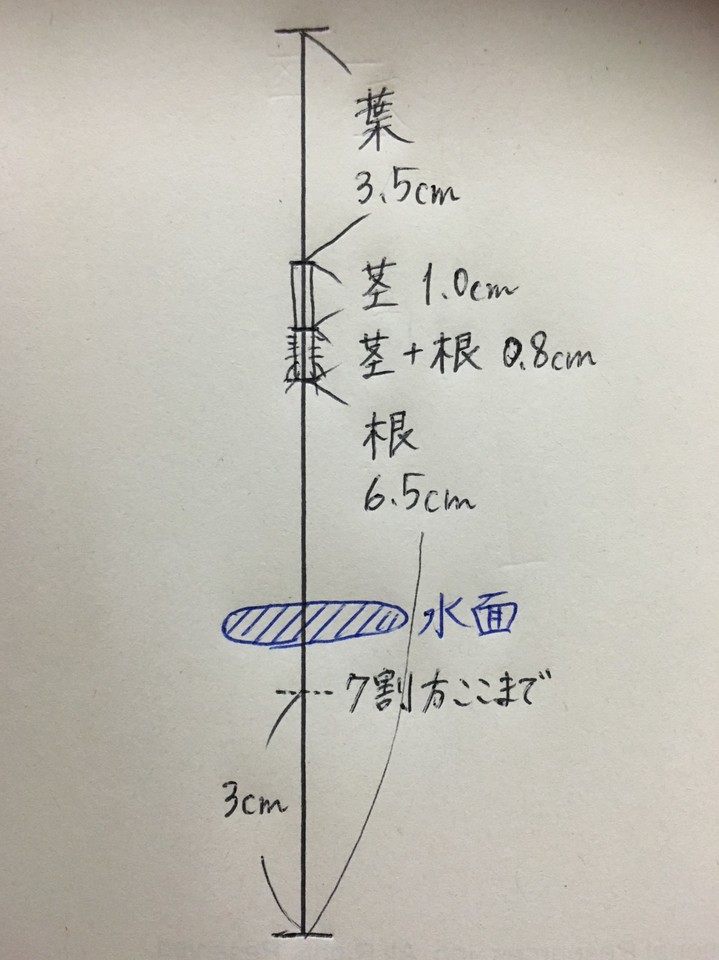 http://www.ige.tohoku.ac.jp/prg/watanabe/as-vegetable2017/images/20171213013549-2f084fdfe6bc3e0c67fbdc3db18c1455f33f2af4.jpg