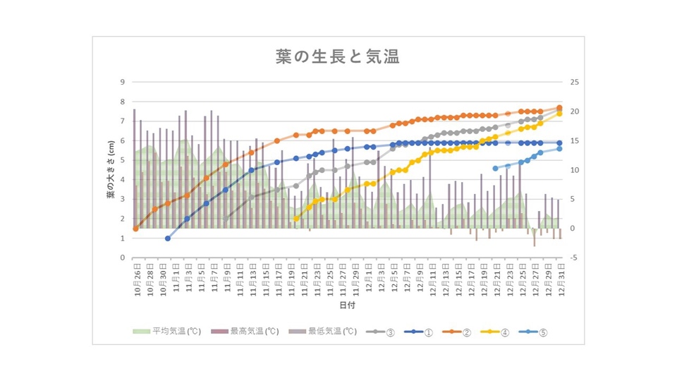 http://www.ige.tohoku.ac.jp/prg/watanabe/as-vegetable2017/images/20180107164619-8b8e6709f1a6060c924ffe75c2d79259785e0b09.jpg