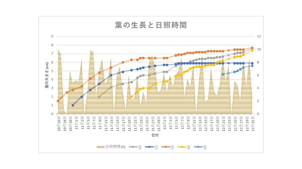 http://www.ige.tohoku.ac.jp/prg/watanabe/as-vegetable2017/images/20180107164646-d02f6ef319d3a9a0635827bfe978cada93271a7b.jpg