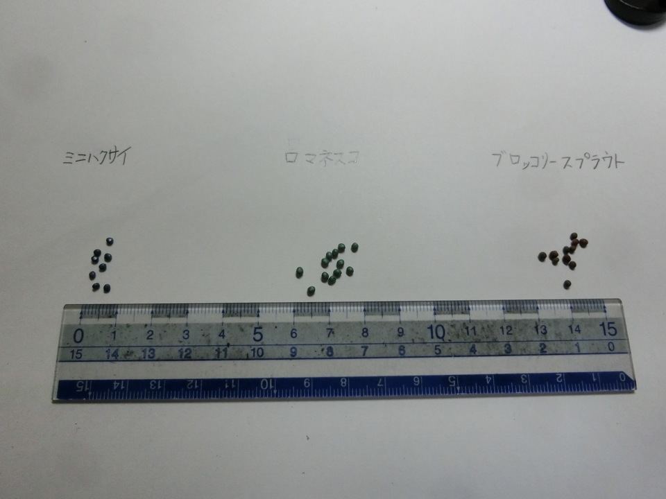 http://www.ige.tohoku.ac.jp/prg/watanabe/as-vegetable2017/images/images/20171009113000-2fed836579b631a887a18dc6d14a2b6fca94bbfb.JPG