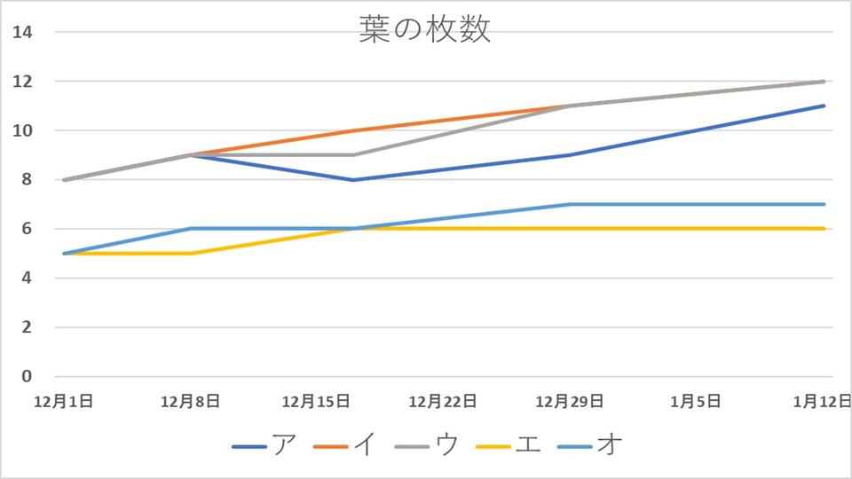 http://www.ige.tohoku.ac.jp/prg/watanabe/as-vegetable2018/images/20190119232737-4008f986b280c84d3ede9d58fe612d9d66d51fb4.JPG