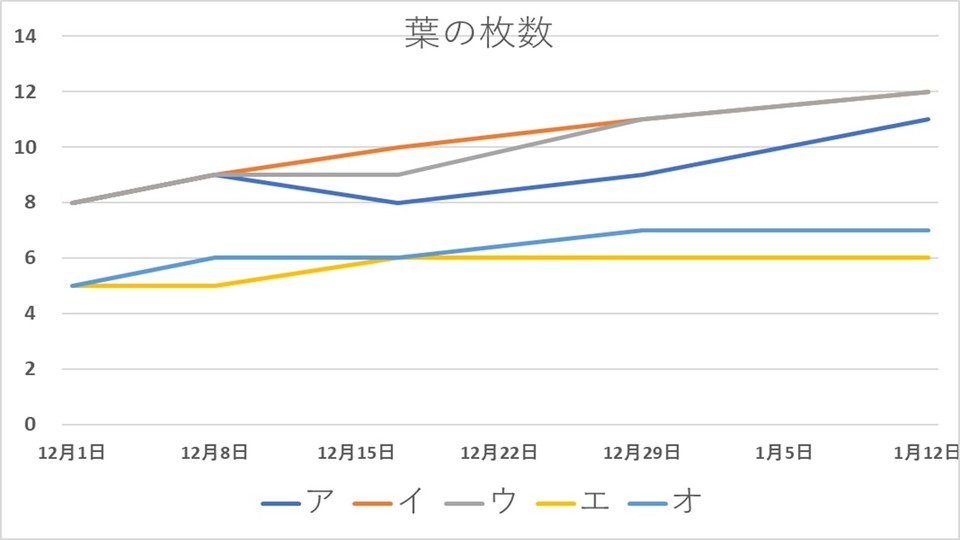 http://www.ige.tohoku.ac.jp/prg/watanabe/as-vegetable2018/images/20190119232737-4008f986b280c84d3ede9d58fe612d9d66d51fb4.JPG