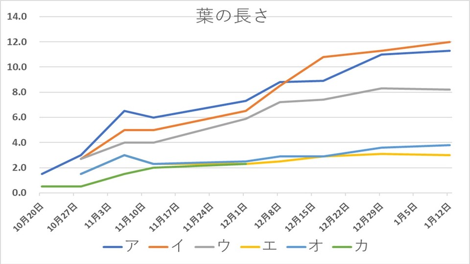 http://www.ige.tohoku.ac.jp/prg/watanabe/as-vegetable2018/images/20190120004919-33a2ed7713f92ba65ed51407c5e2d7b0e6b32a5d.jpg