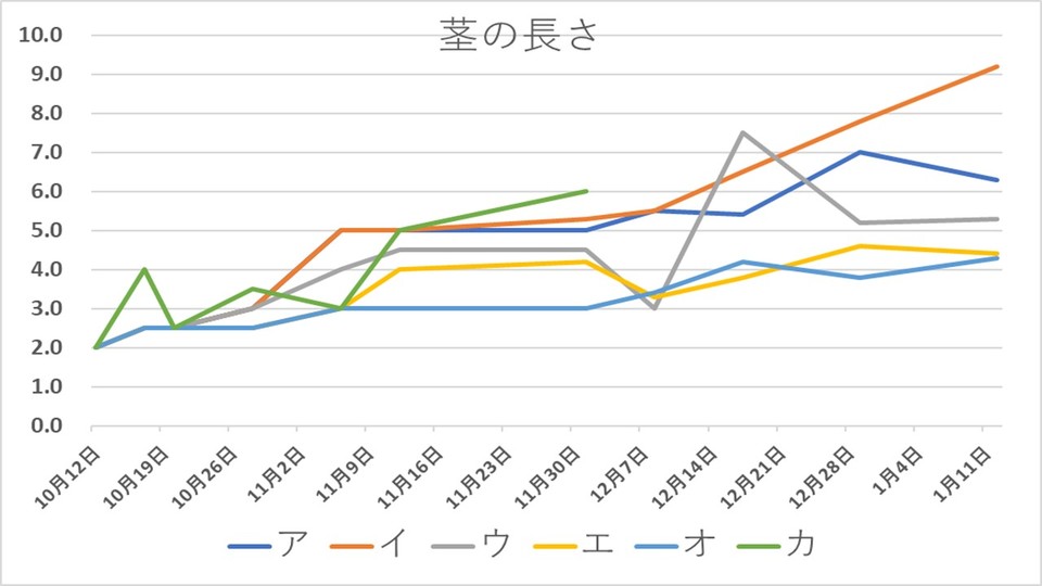 http://www.ige.tohoku.ac.jp/prg/watanabe/as-vegetable2018/images/20190120024403-736a7e84d1ff189ed5ec7068aaa2f8e0e079c61a.JPG