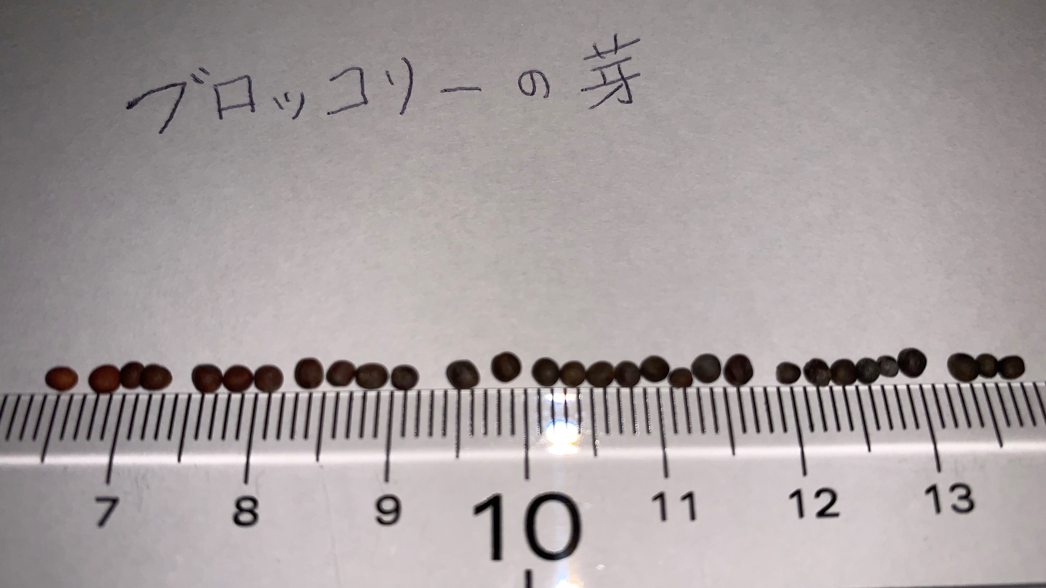 http://www.ige.tohoku.ac.jp/prg/watanabe/as-vegetable2019/2019/10/05/20191004_121327430_iOS%20%282%29.jpg
