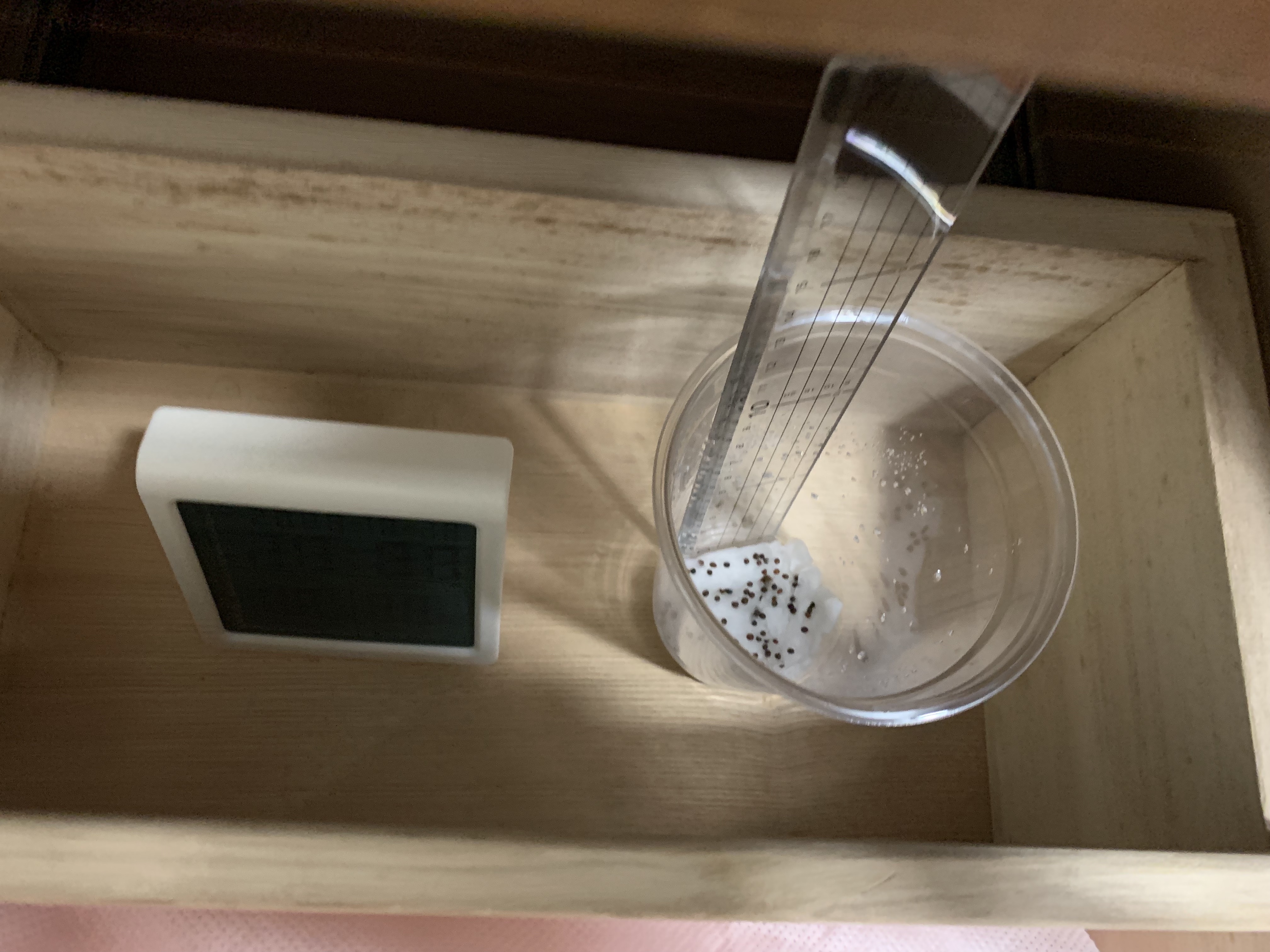 http://www.ige.tohoku.ac.jp/prg/watanabe/as-vegetable2019/2019/10/06/20191005_085939142_iOS.jpg