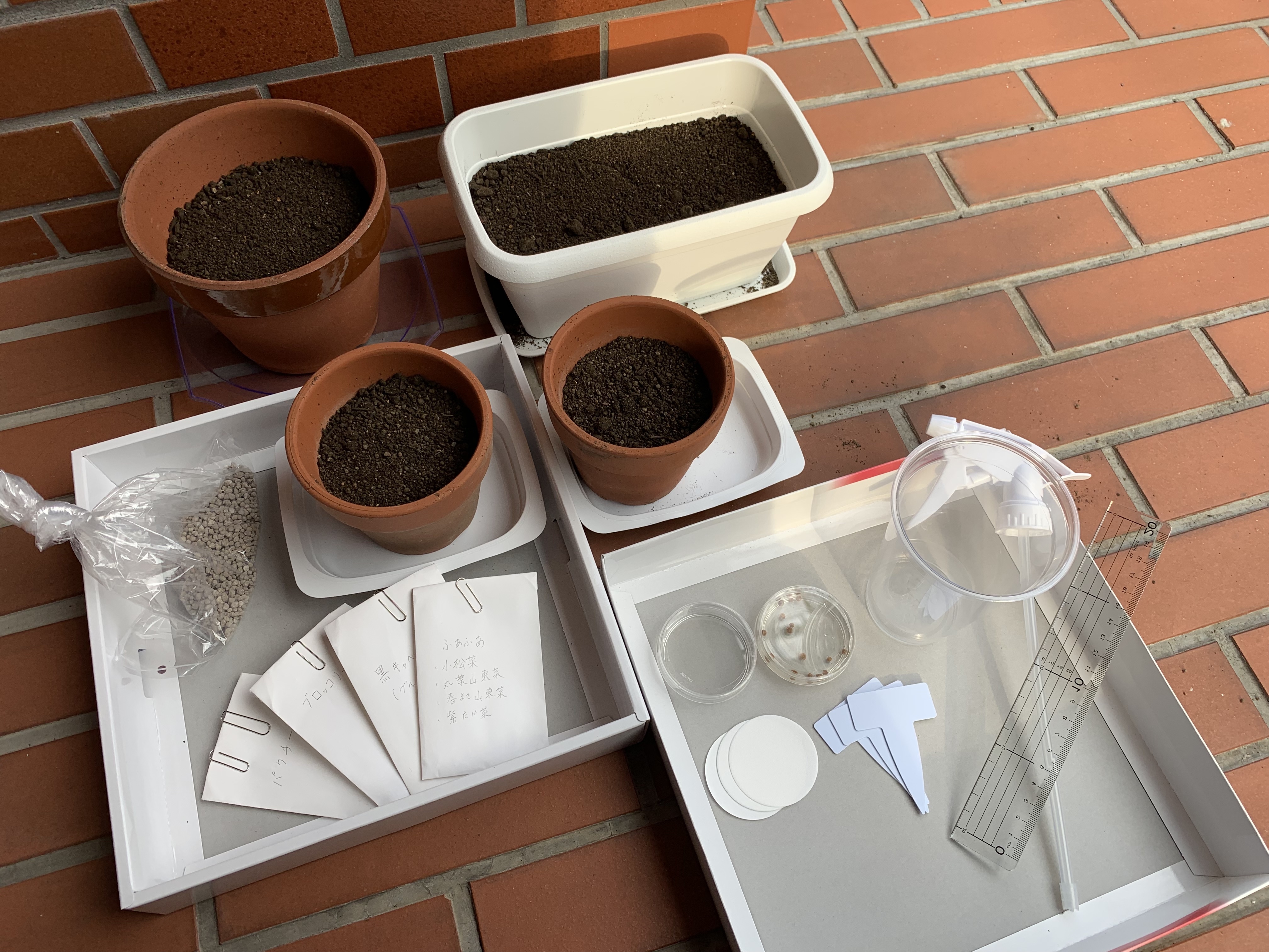 http://www.ige.tohoku.ac.jp/prg/watanabe/as-vegetable2019/20191005_061800188_iOS.jpg