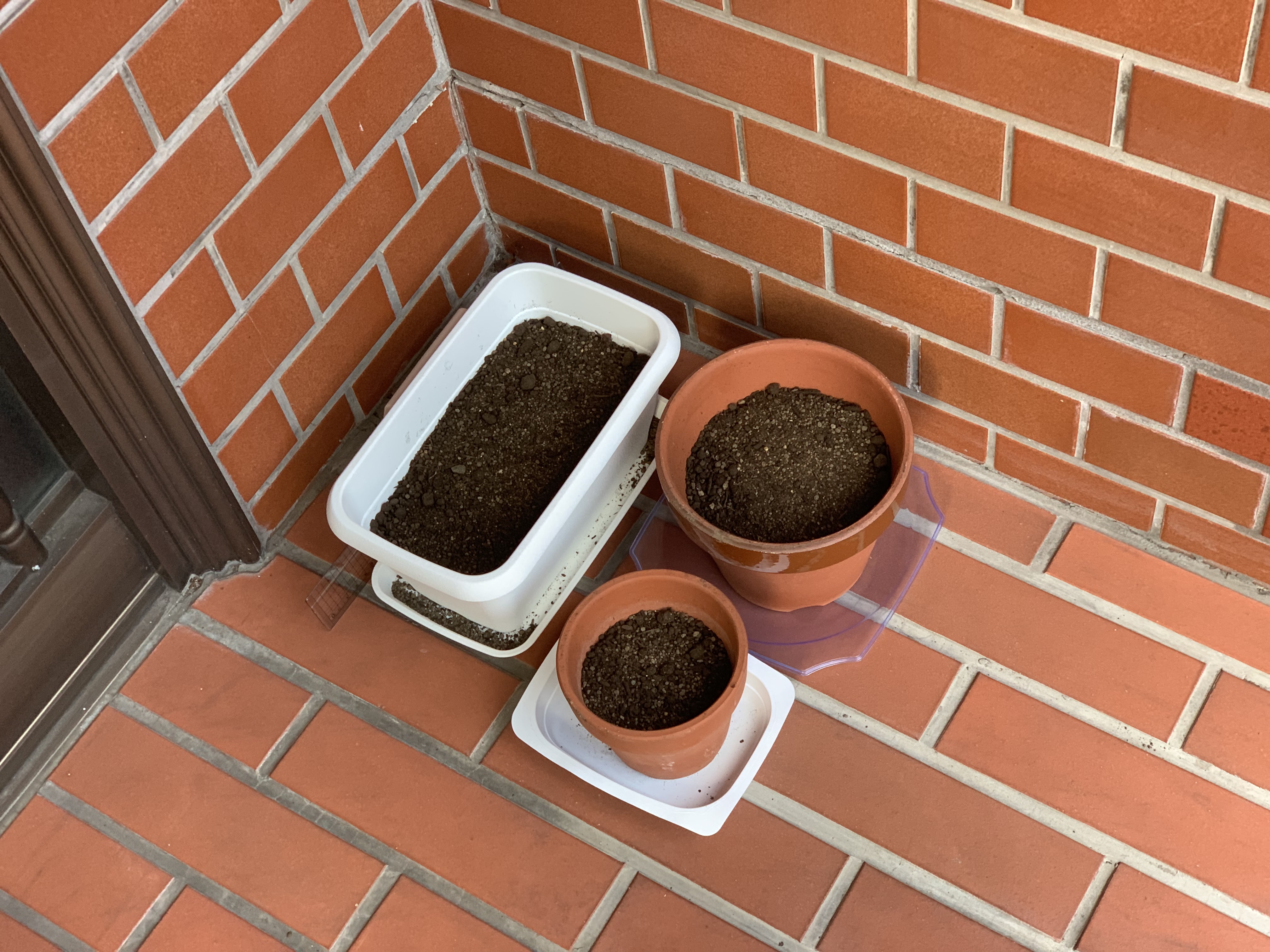 http://www.ige.tohoku.ac.jp/prg/watanabe/as-vegetable2019/20191005_071437941_iOS.jpg