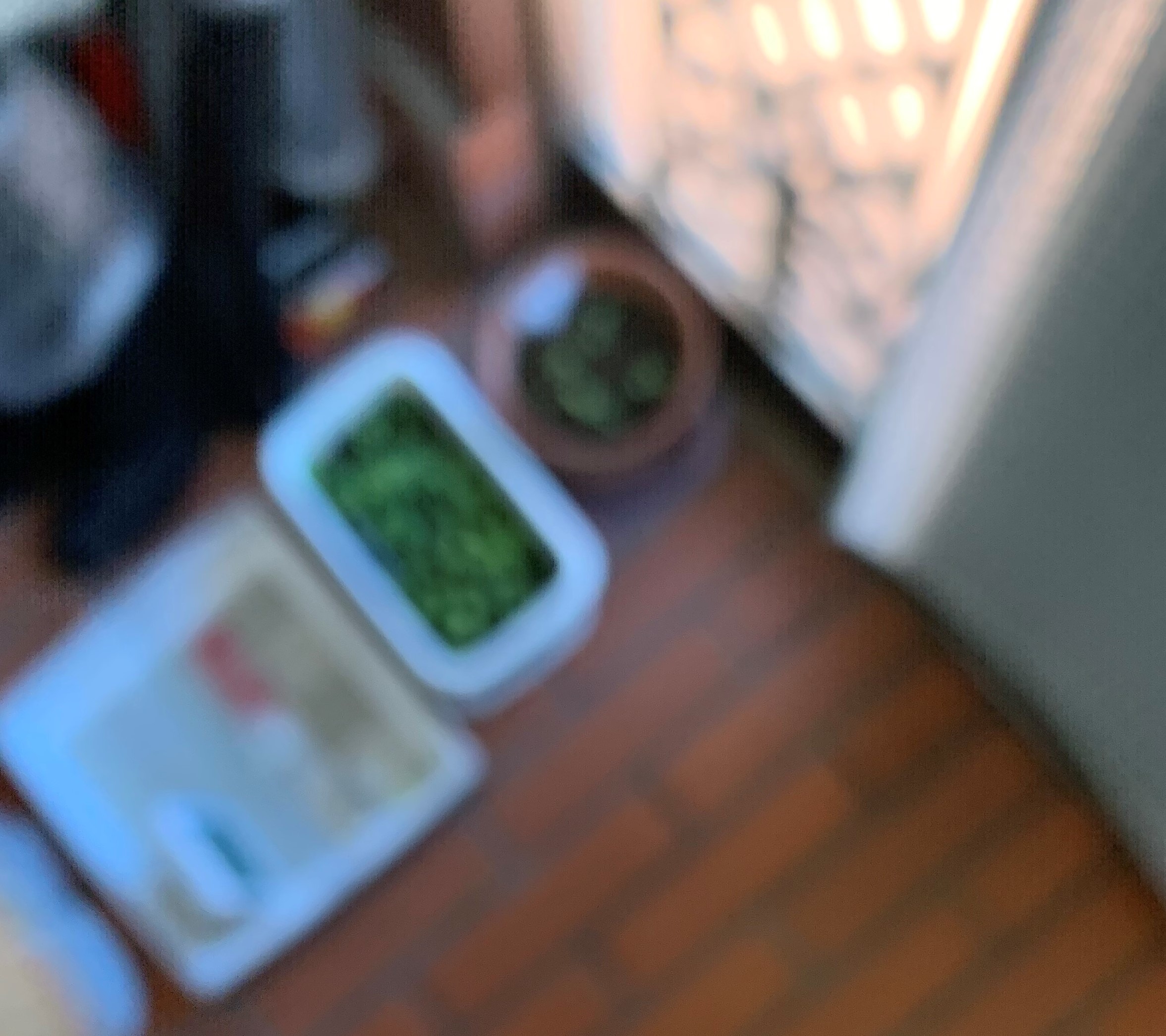 http://www.ige.tohoku.ac.jp/prg/watanabe/as-vegetable2019/20191015011352-163cfcab41c3abd1b3927dbcbf814692ce1a6a14.jpg