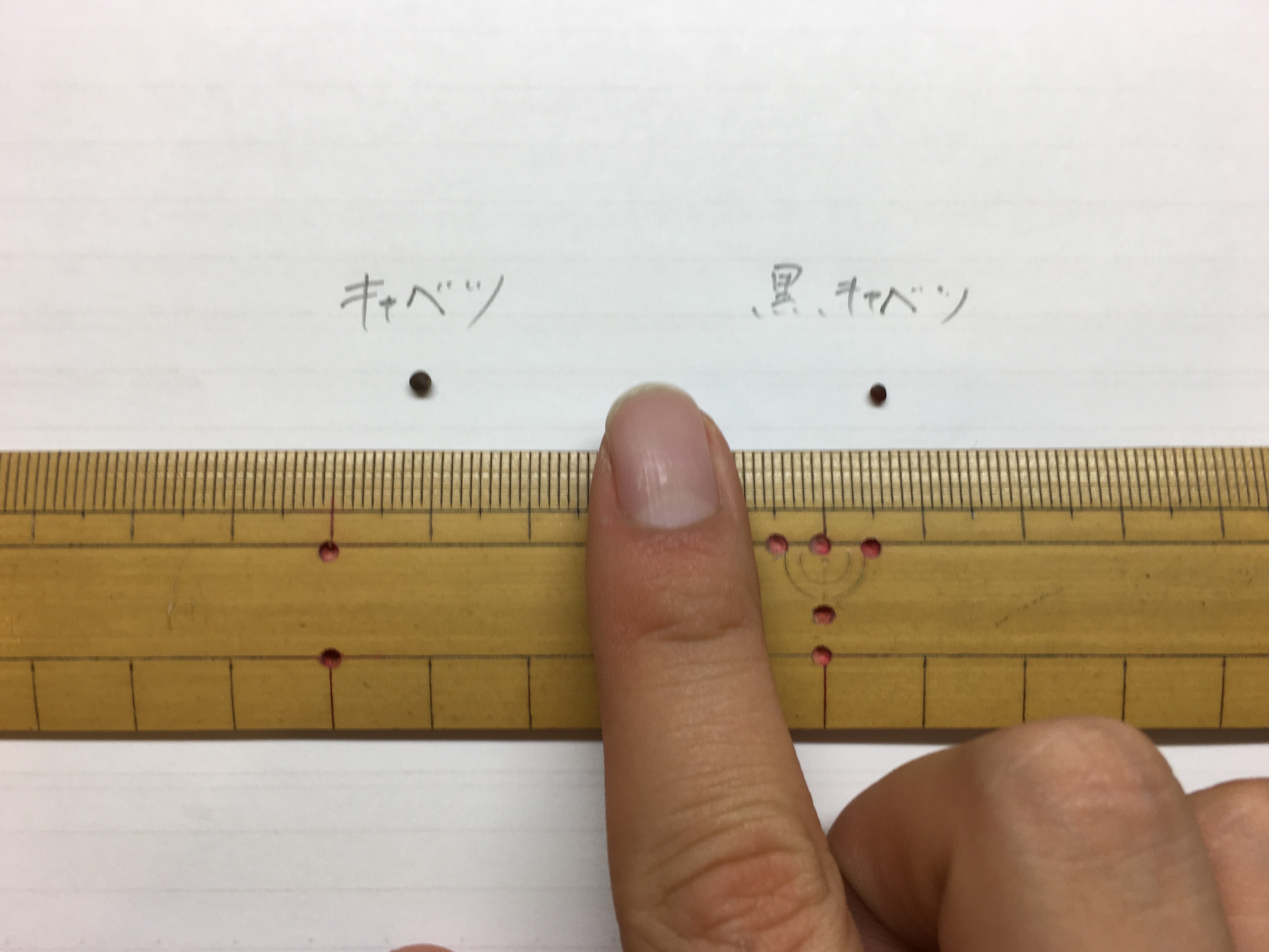 http://www.ige.tohoku.ac.jp/prg/watanabe/as-vegetable2019/IMG_E0549.JPG