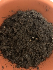 20191010_080138930_iOS.jpg
