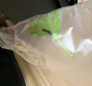 20191115_104435714_iOS.jpg